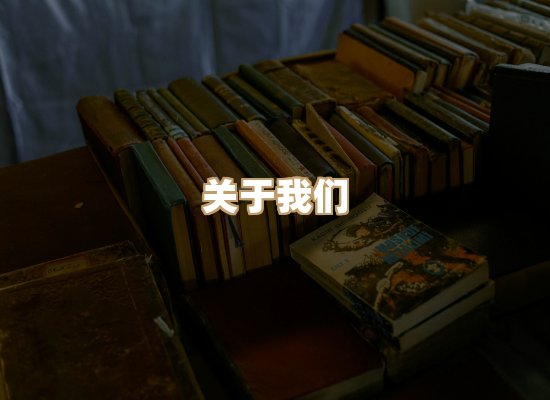 关于丹选阅读站